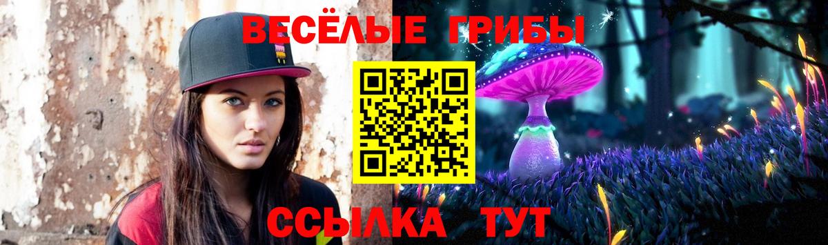 Шатура  Псилоцибиновые грибы Psilocybine cubensis  Вход с VPN 